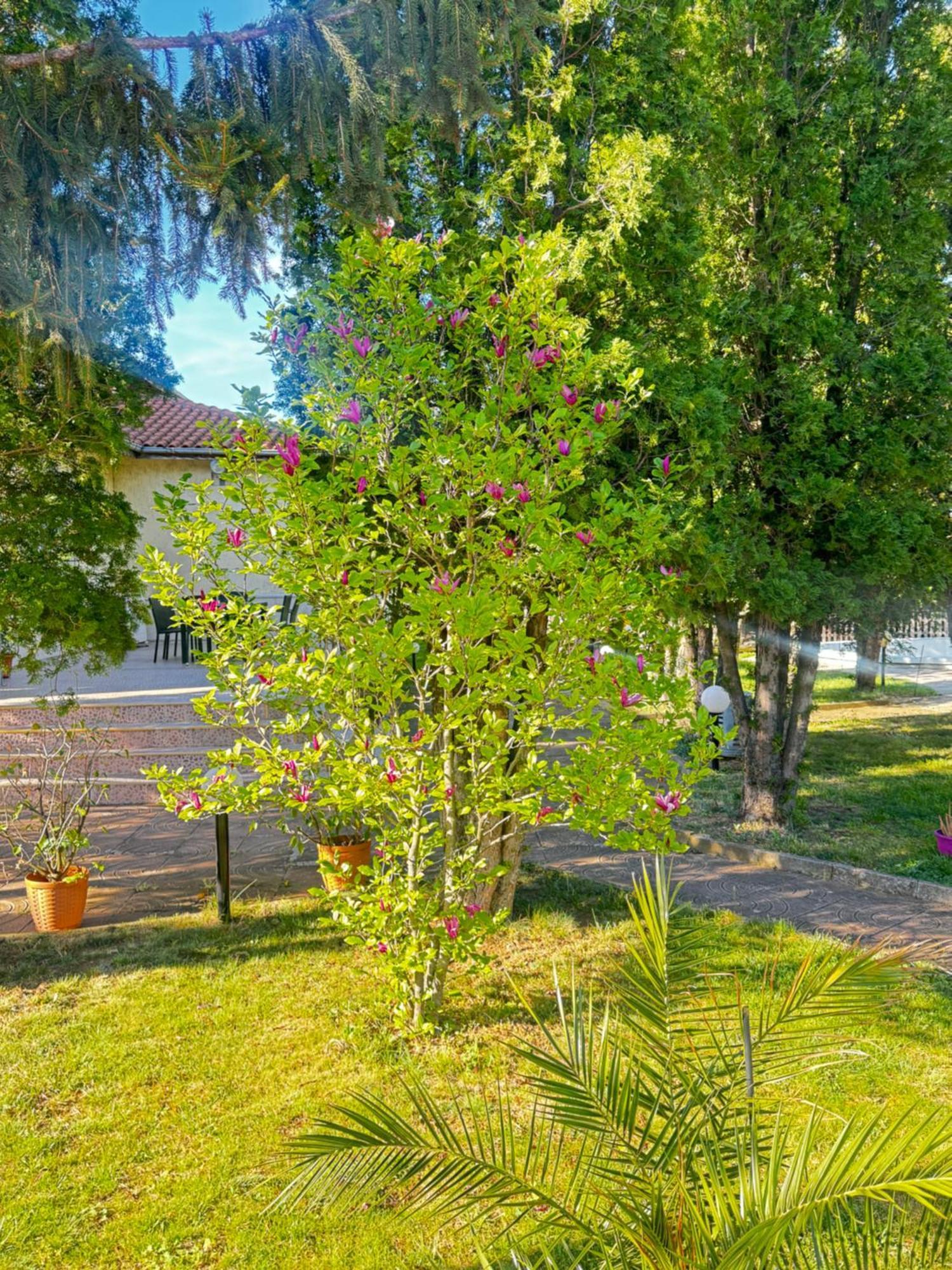 Motel International Берковица Экстерьер фото